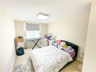 Picture 20